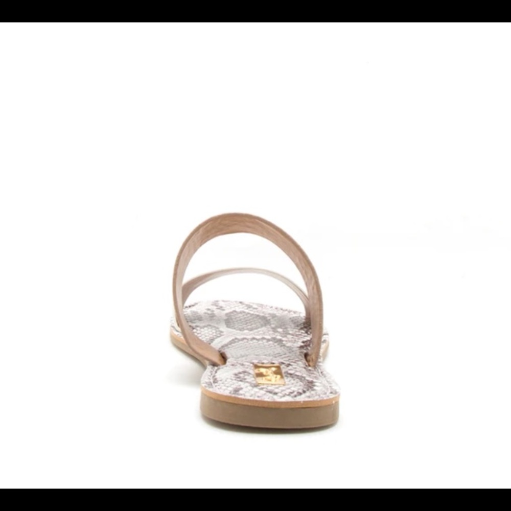 Qupid Athena snake sandal NEW - Picture 4 of 5